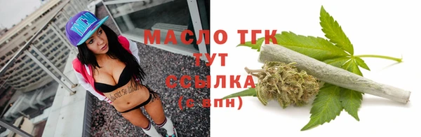 молекула духа Осинники