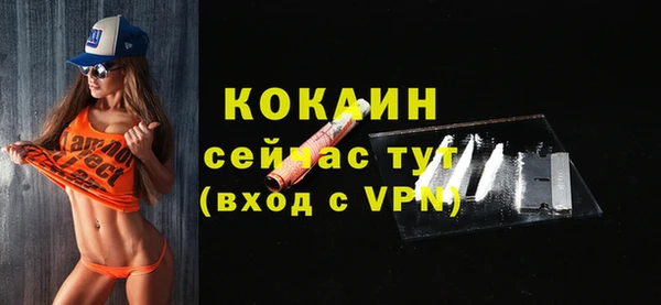 прущие грибы Абинск
