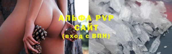 прущие грибы Абинск