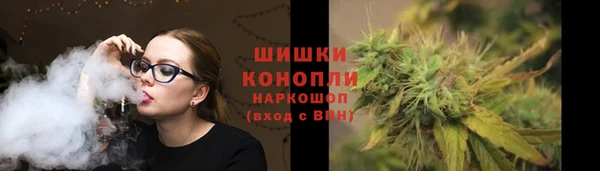 прущие грибы Абинск