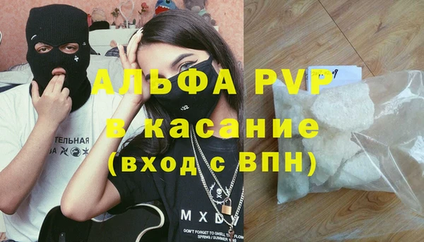 ПСИЛОЦИБИНОВЫЕ ГРИБЫ Абаза
