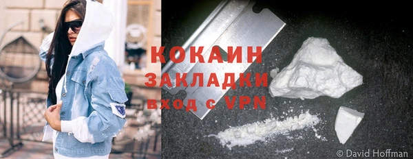 ПСИЛОЦИБИНОВЫЕ ГРИБЫ Абаза