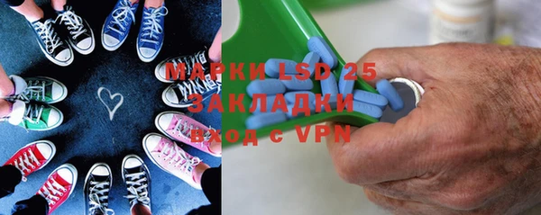 ПСИЛОЦИБИНОВЫЕ ГРИБЫ Абаза